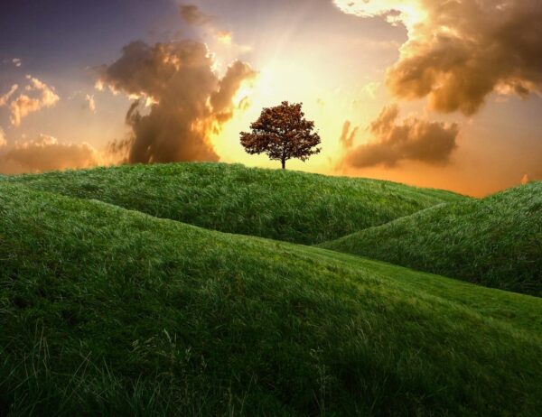 Personal & Spiritual Growth Workshop