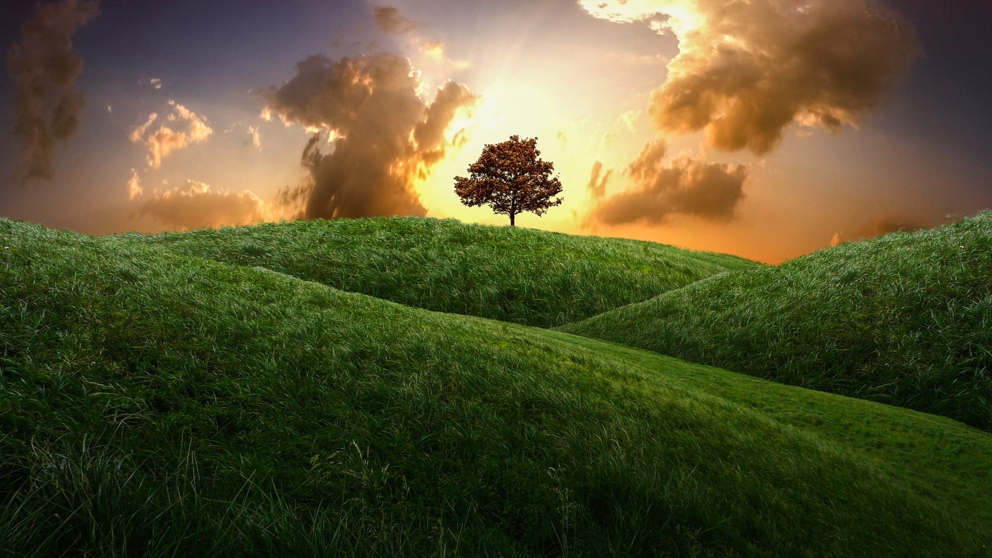Personal & Spiritual Growth Workshop